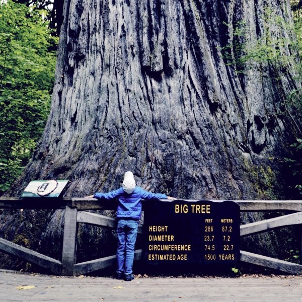 12 Ways to Trick Stubborn Kids into Loving Hiking