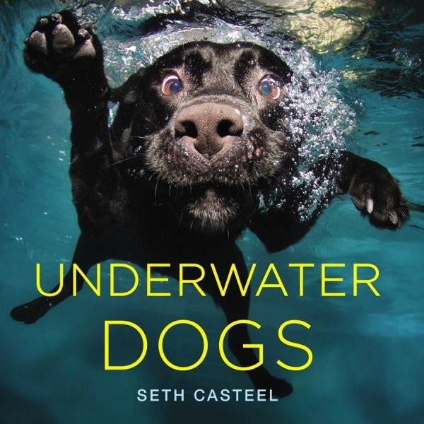 Underwater Dogs