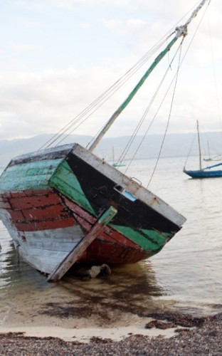 Trying to Help in Haiti