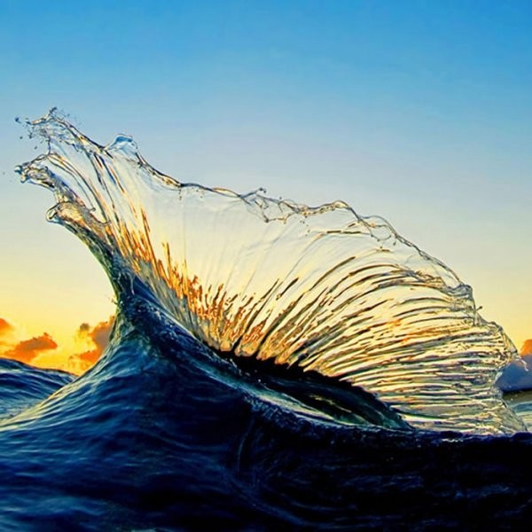 The Shorebreak Art of Clark Little