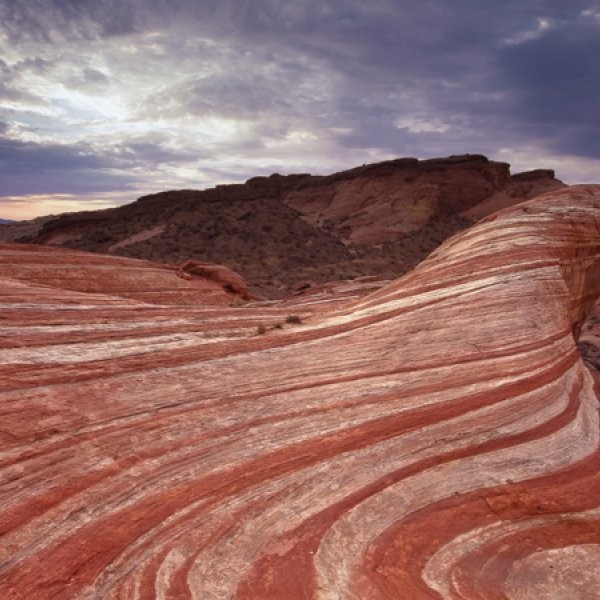 Are There Any Outdoorsy Activities Near Las Vegas?