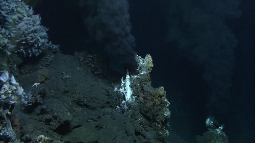 Deep-Sea Dwellers Make A Natural Antibiotic
