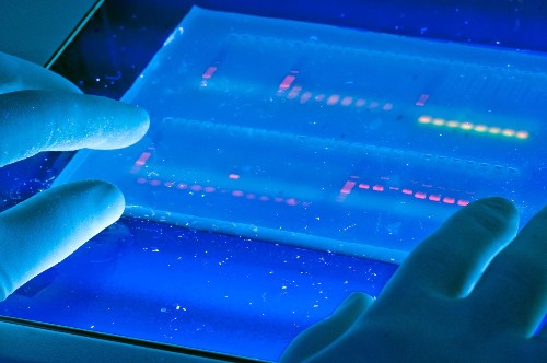Scientists Detect Which Patients Are Resistant To Genetic Diseases