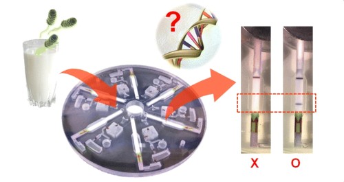 This Spinning Disk Can Detect Salmonella In 30 Minutes
