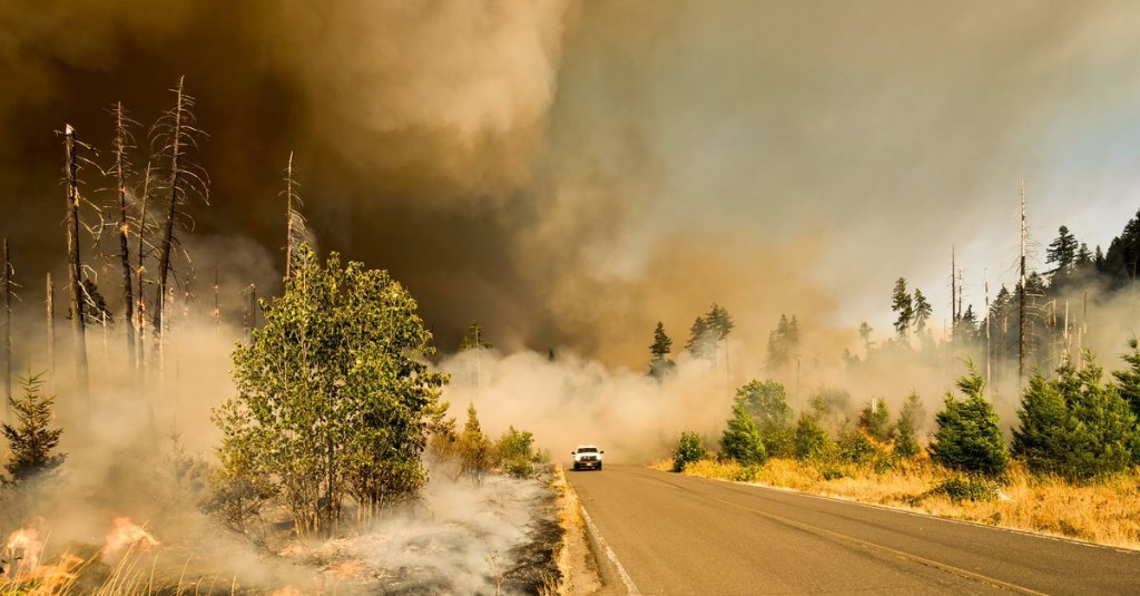 California and the Forest Service have a plan to prevent future catastrophic fires
