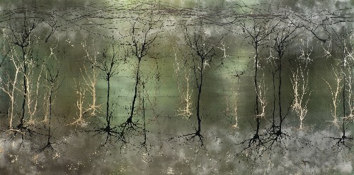 2013's Best Visualizations Offer A New View Of Science