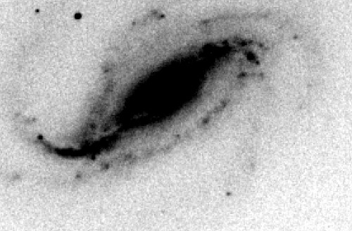 An amateur astronomer accidentally caught an exploding star on camera—and it gets better