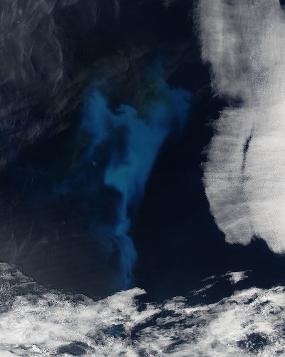Big Pic: A Stunning View Of Phytoplankton From Space
