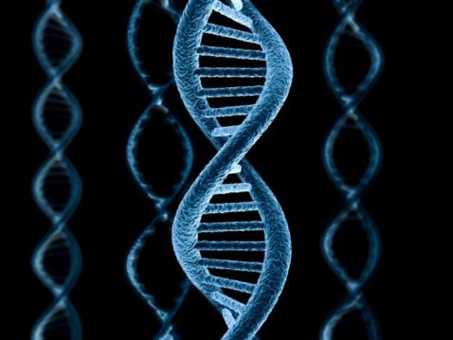 Genetics Startup Wants To Prolong Life, 'Make 100 Years Old The Next 60'