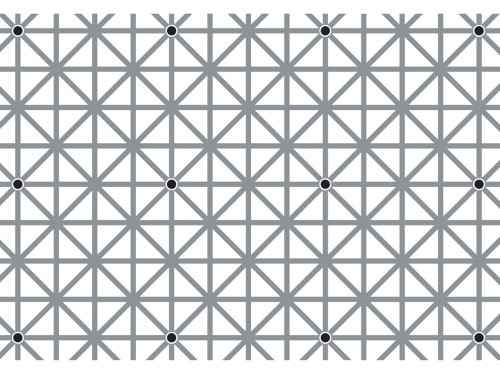 This image has exactly 12 dots, but it’s impossible to see them all at once