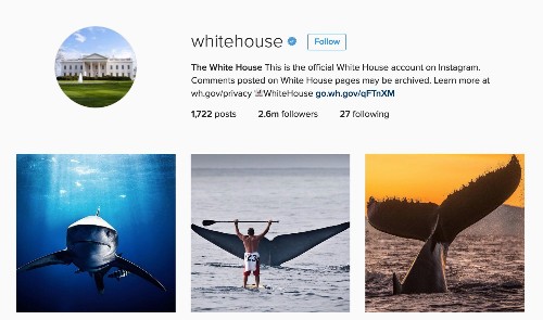 Ocean Photographers Take Over White House Instagram