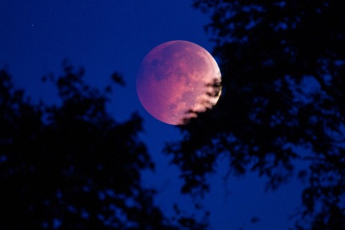 How to take a picture of the moon that doesn’t look like a tiny, white blob