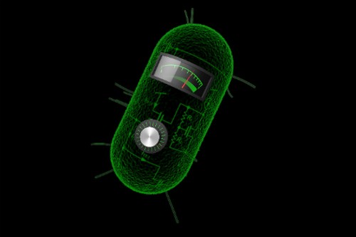 This Bacterium Can Do Division, Compute Logarithms And Take Square Roots
