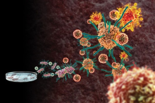 Your Body Can Kill Cancer. It Just Needs Better Instructions.