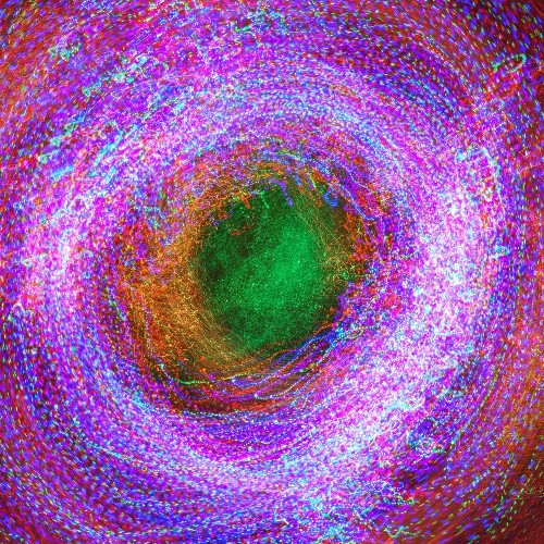 The Race To Prove 'Spooky' Quantum Connection May Have a Winner