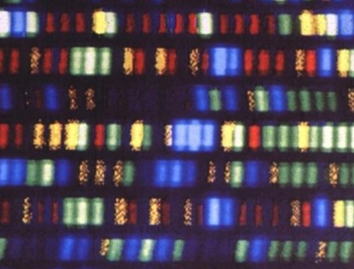 Uzbekistan Will Test Kids' Genes To Find Future Olympians