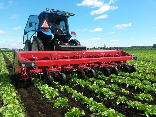 Meet the Robotic Weeders