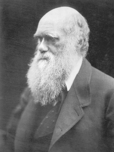 Charles Darwin wrote enough one-liners to fill a burn book