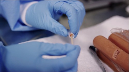 A Genetic Database Will Identify What’s Really In Our Food