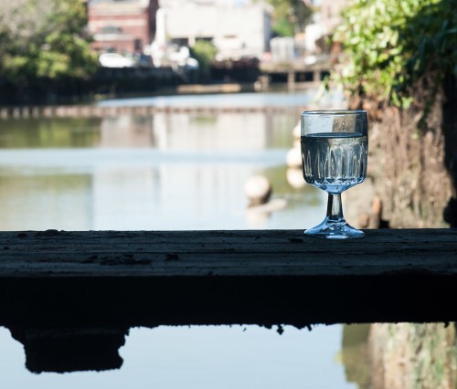 What Would Happen If You Drank Water From The Gowanus Canal?