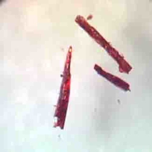 Weird Crystal Can Absorb All The Oxygen In A Room -- And Then Release It Later
