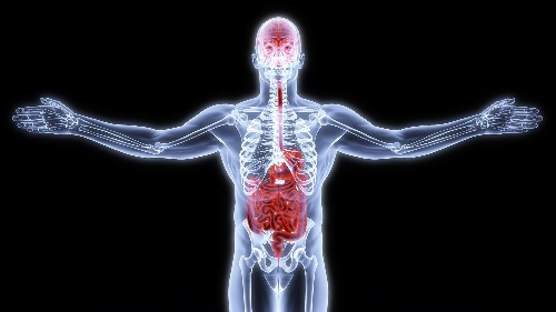 Science says your “gut feeling” isn’t a metaphor