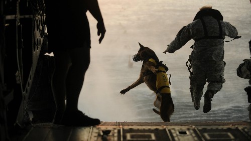 US Navy SEALs develop mental toughness by reinforcing one behavior