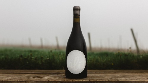 This startup is taking the mystery out of wine pricing—and making the good stuff cheaper