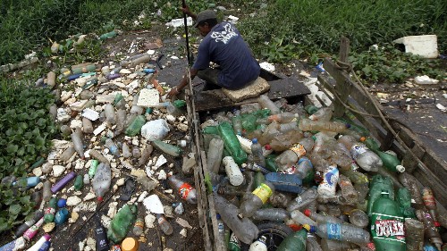 “Nature can surprise us”: There’s a new species of bacteria that eats plastic