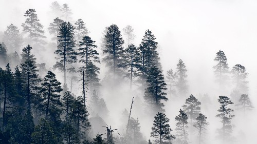 Can’t we just remove carbon dioxide from the air to fix climate change?
