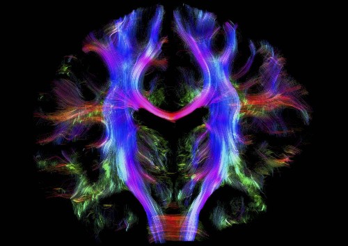 There’s a way to train our brains to cope with stress that changes chemistry “as much as any antidepressant”