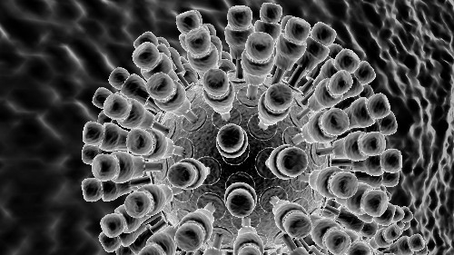 Scientists have caught viruses talking to each other—and that could be the key to new anti-viral drugs