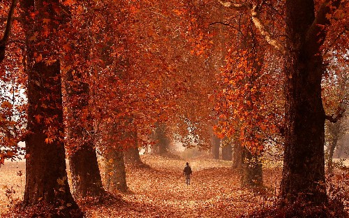 A Zen master explains how to walk more mindfully—without looking like a weirdo
