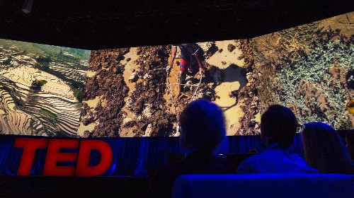 Watch: Short videos that TED says will recharge your brain