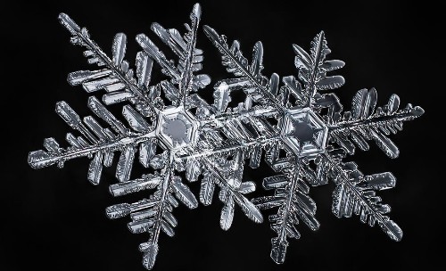 A photographer’s scientific approach to shooting snowflakes reveals stunning geometric variety