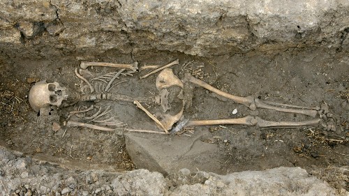 How Europeans became tall and fair-skinned 8,500 years ago