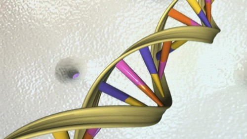 One of the fastest growing fields in science still makes a lot of people very uncomfortable