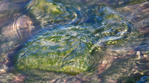 Singapore and Israel show the world how to tackle dangerous water shortages