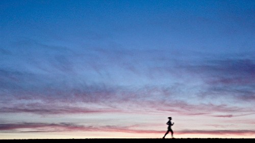 It seems there’s just no substitute for a proper workout