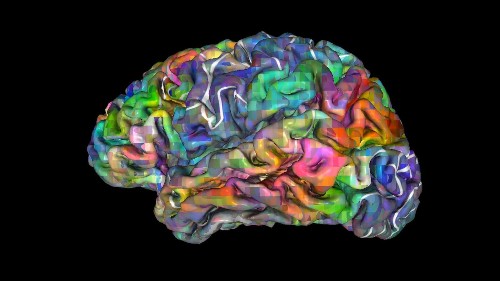 Scientists say your “mind” isn’t confined to your brain, or even your body