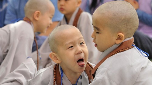 Hanging out with friends in times of stress heals us by rewiring our biology