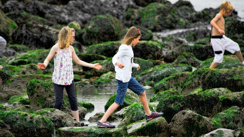 Kids with step-siblings are more aggressive, research says