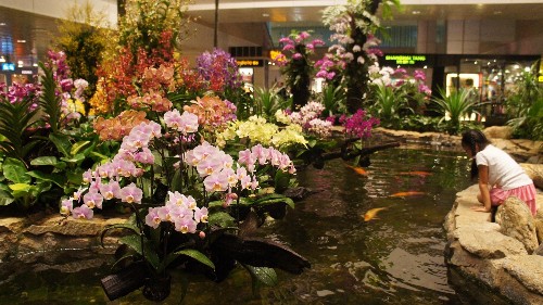 The world’s best airport has a horticulture team, a butterfly garden, and 500,000 plants