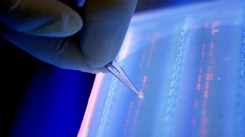 Scientists say all the world’s data can fit on a DNA hard drive the size of a teaspoon