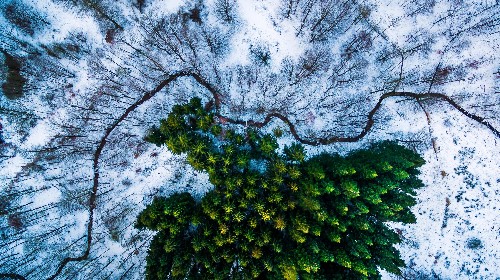 The most jaw-dropping drone photography of the year, selected by National Geographic