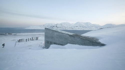 The Syrian war is prompting the first-ever withdrawal from the doomsday seed vault