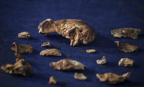 Newly discovered ancient DNA rewrites the history of South and Central America
