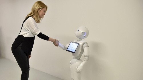 Experts predict human-robot marriage will be legal by 2050