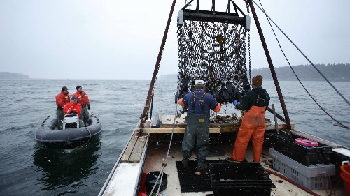 Ocean farmers are using technology to start an economic revolution and save humanity