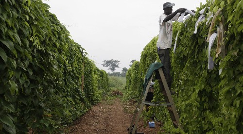 Meet the eight finalists for a $100 million grant to solve the world’s biggest social problems